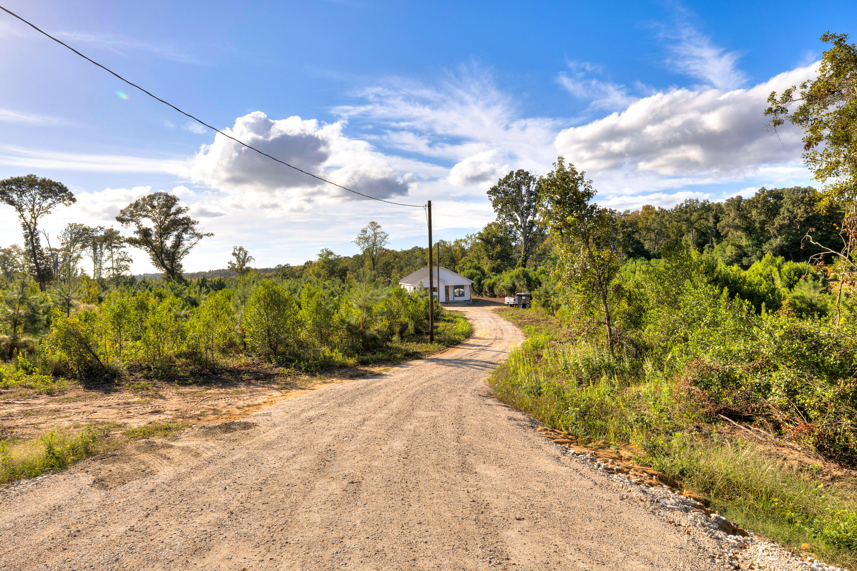 3074 Peach Orchard Road Dalzell, SC 29040 - Photo 33 of 35 Driveway looking towards house