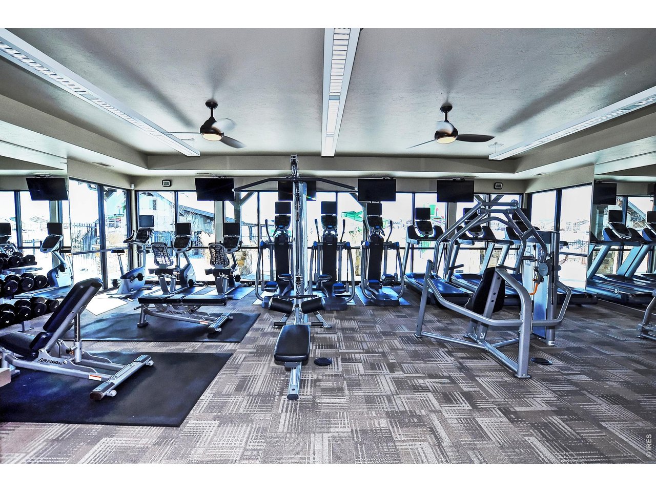 6772 Rainier Road Timnath, CO 80547 - Photo 43 of 43