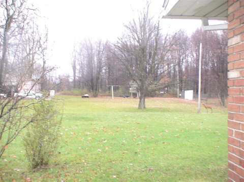 7045 Birch Run Road Birch Run, MI 48415 - Photo 10 of 15 20265451-9.JPG