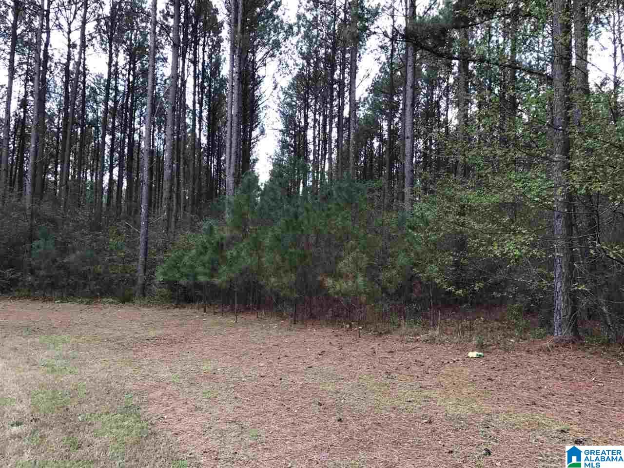 78 Pilgrims Path, Unit 19 Anniston, AL 36207 - Photo 6 of 35