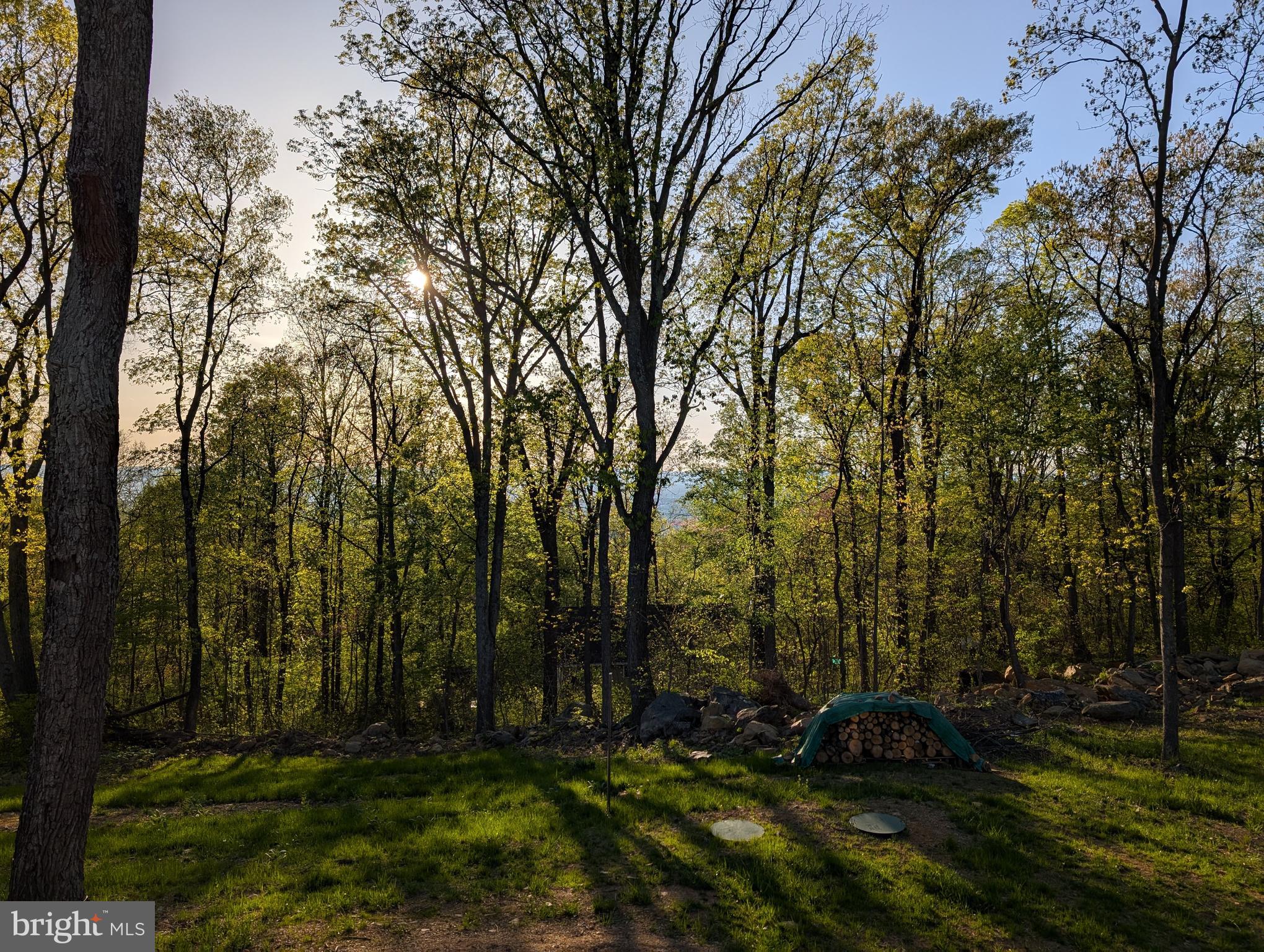 1099 High Top Road Linden, VA 22642 - Photo 47 of 83 Spring on the mountain