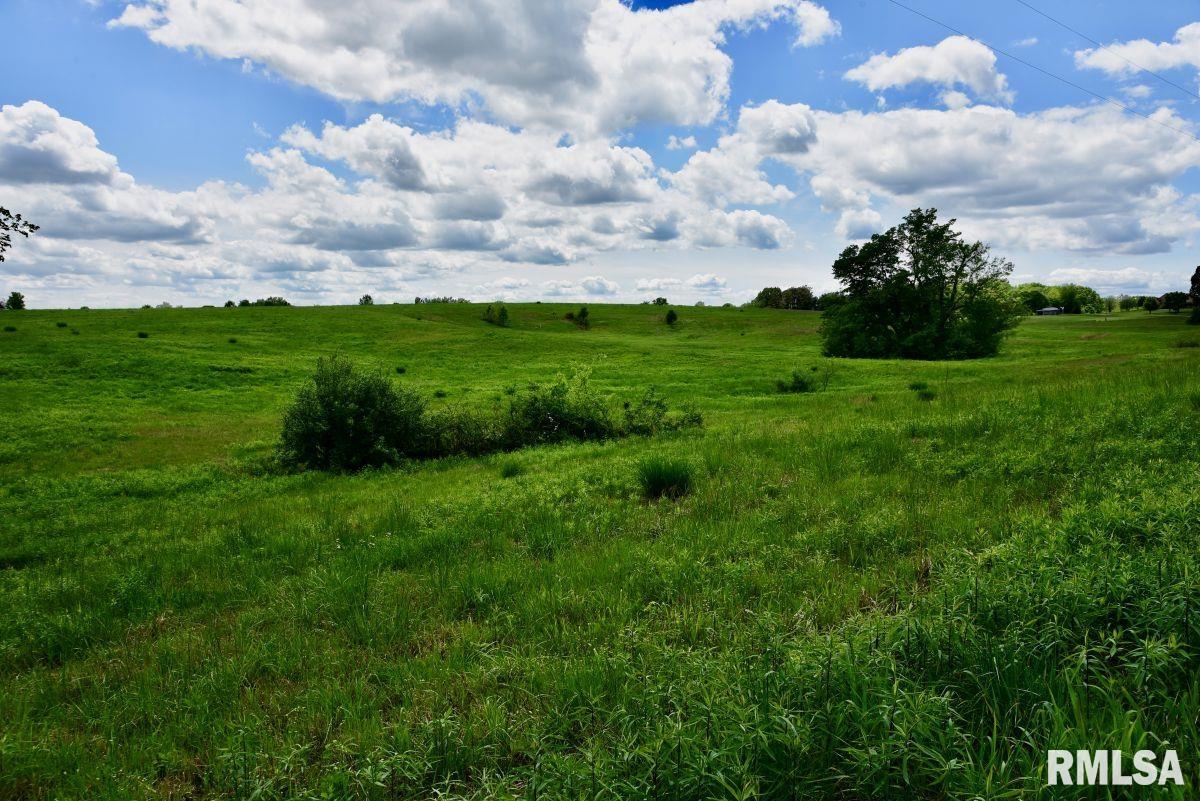 0 Campground Road Anna, IL 62906 - Photo 12 of 29