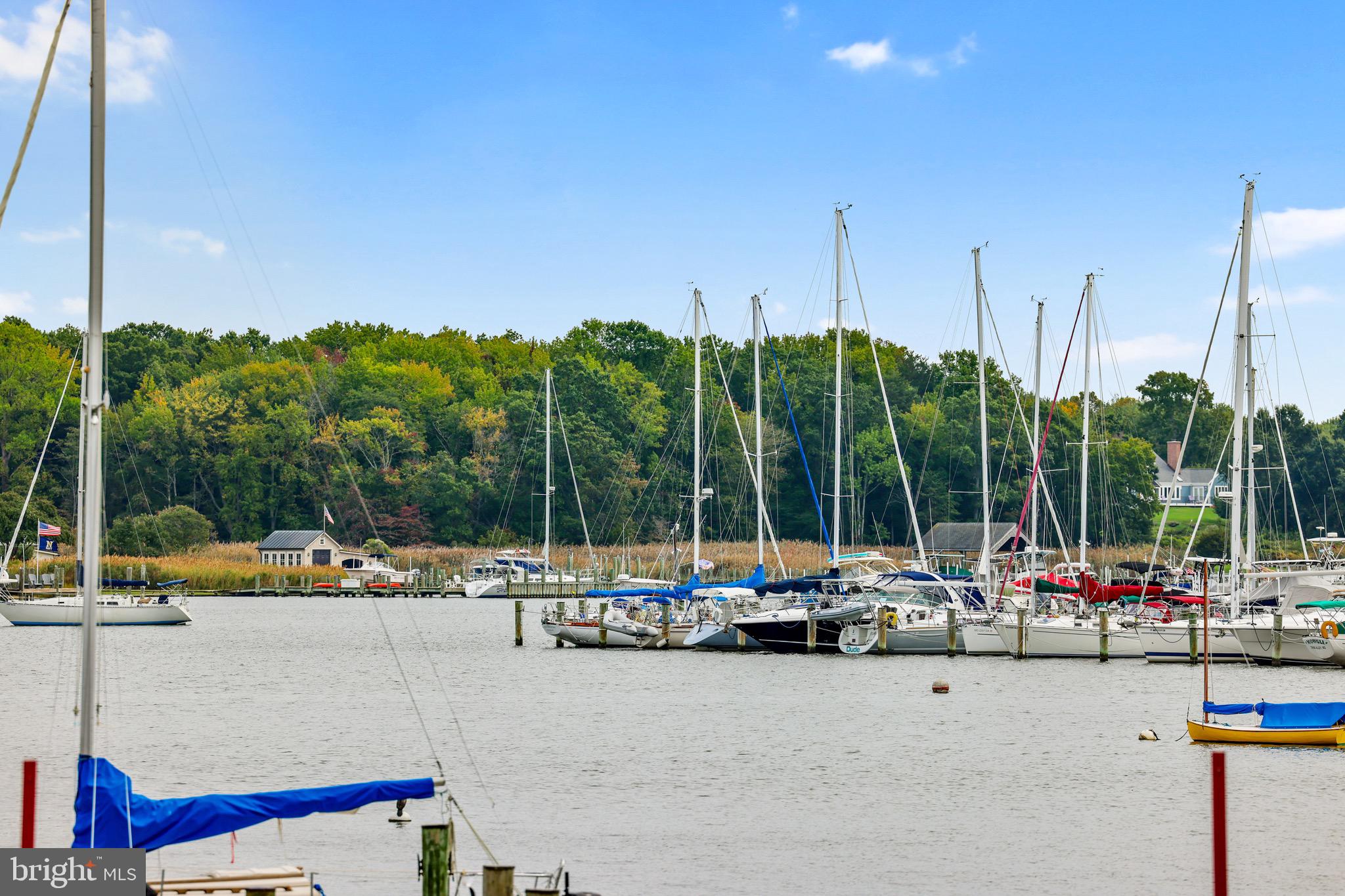 920 Old Annapolis Neck Road Annapolis, MD 21403 - Photo 53 of 58