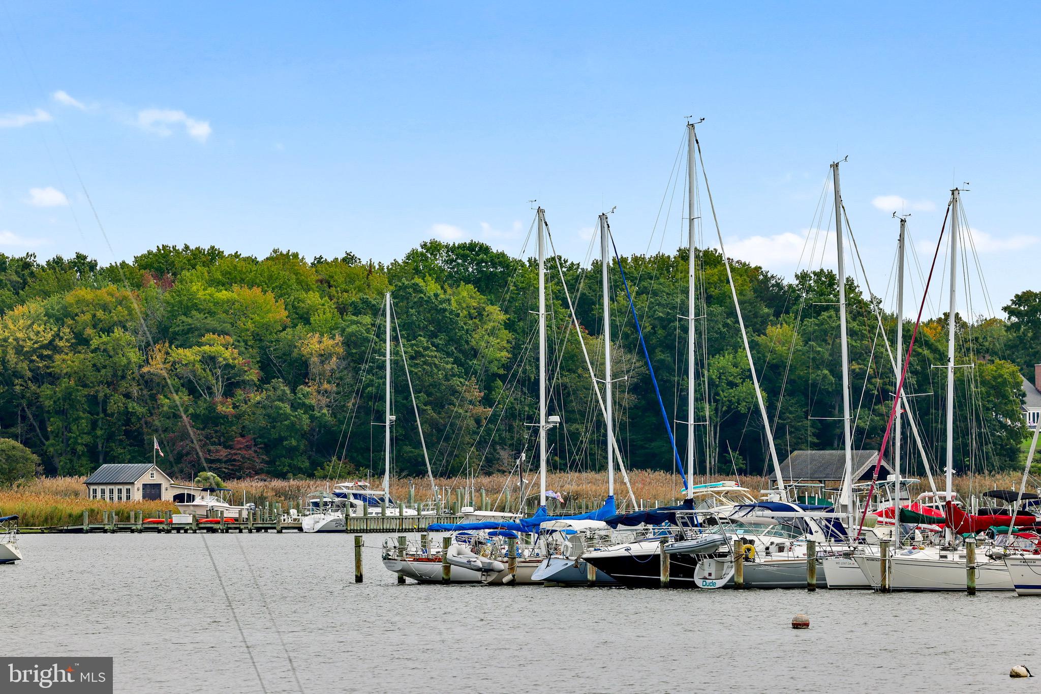 920 Old Annapolis Neck Road Annapolis, MD 21403 - Photo 55 of 58