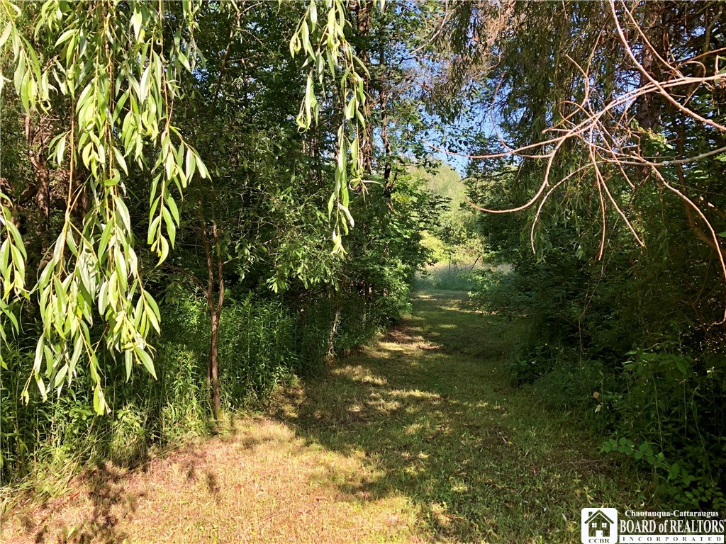 6031 Johnson Road Charlotte, NY 14782 - Photo 7 of 46