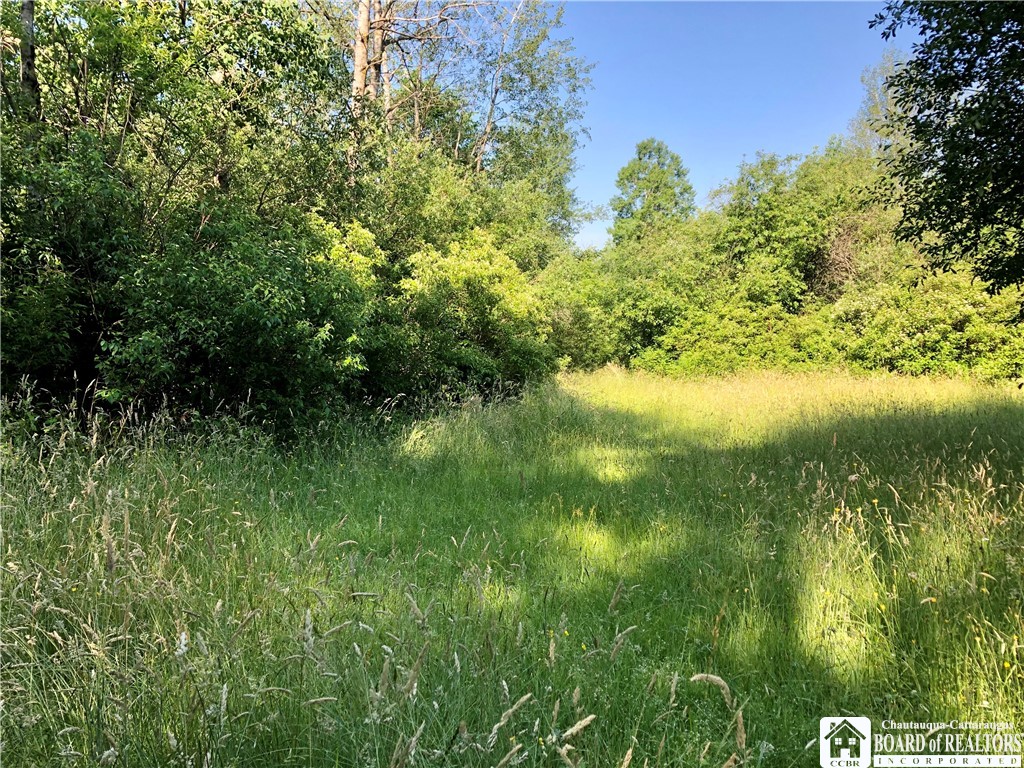 6031 Johnson Road Charlotte, NY 14782 - Photo 8 of 46