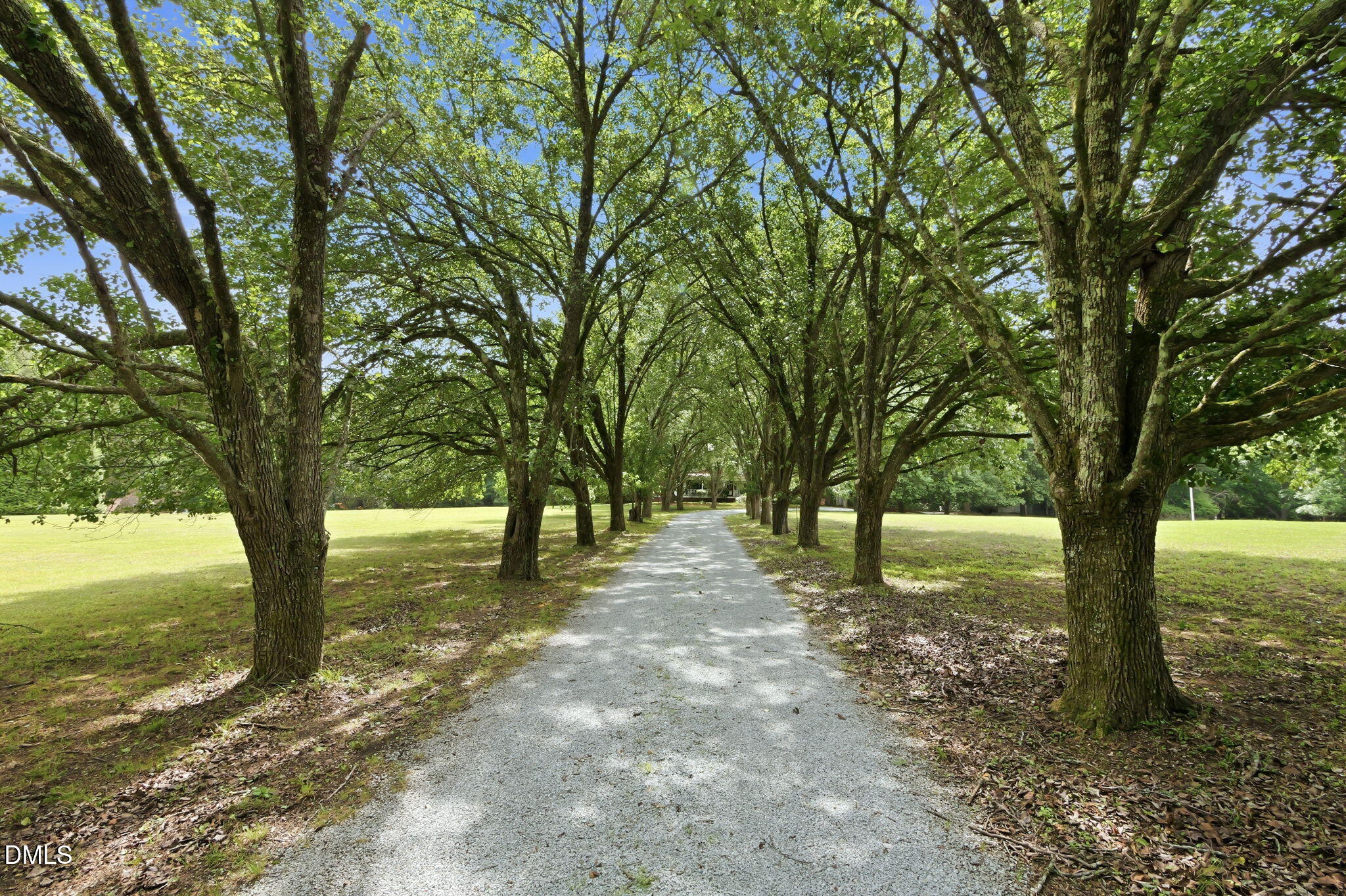 2102 Bahama Road Bahama, NC 27503 - Photo 7 of 66 Driveway to house