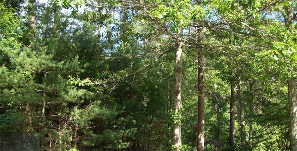 102 John Ewer Road, Unit B Sandwich, MA 02563 - Photo 6 of 6 Gallery Image 6