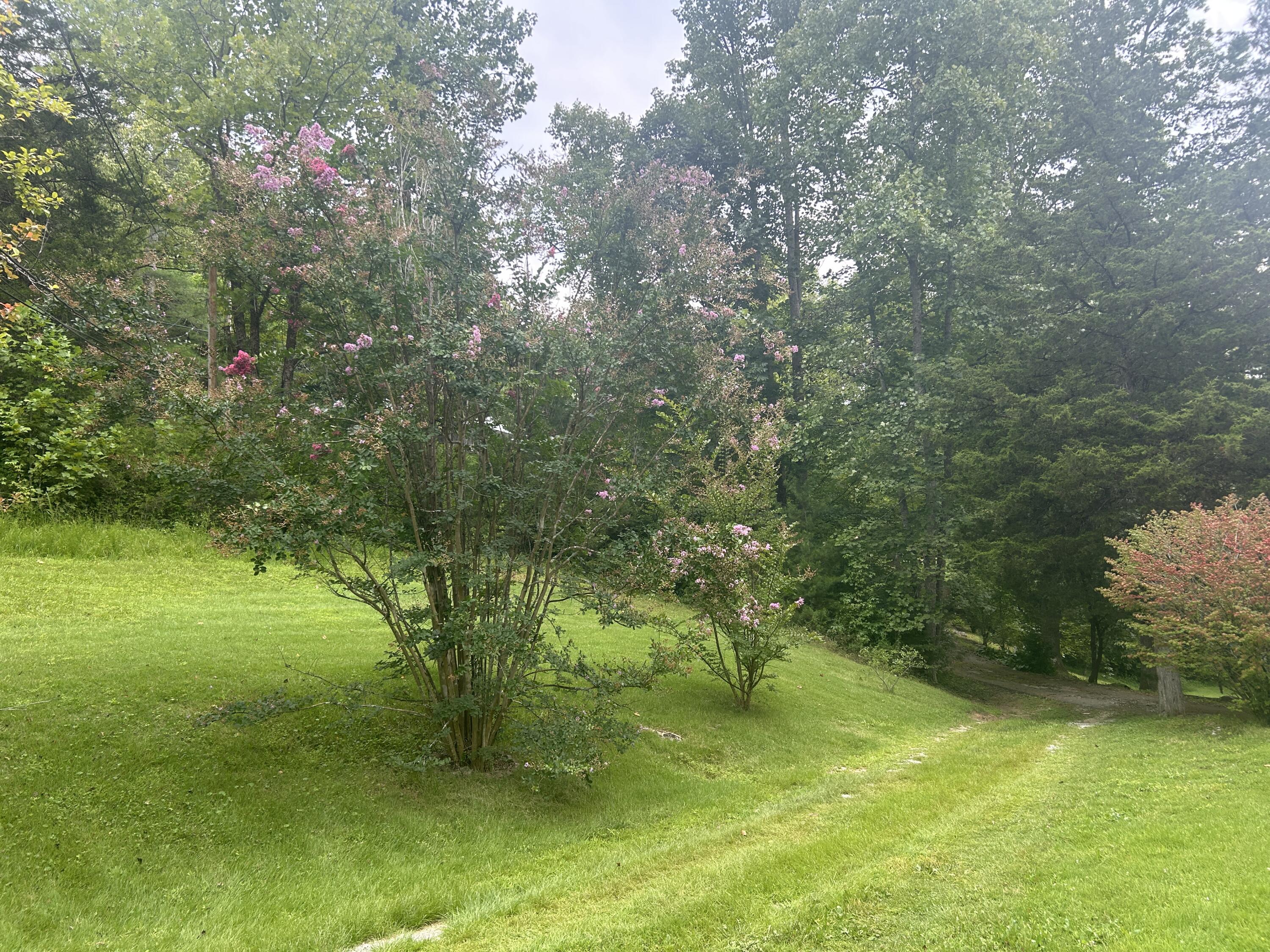 2045 Teges Creek Road Manchester, KY 40962 - Photo 72 of 78 (Upload-from-mobile-1786649715)IMG_6384