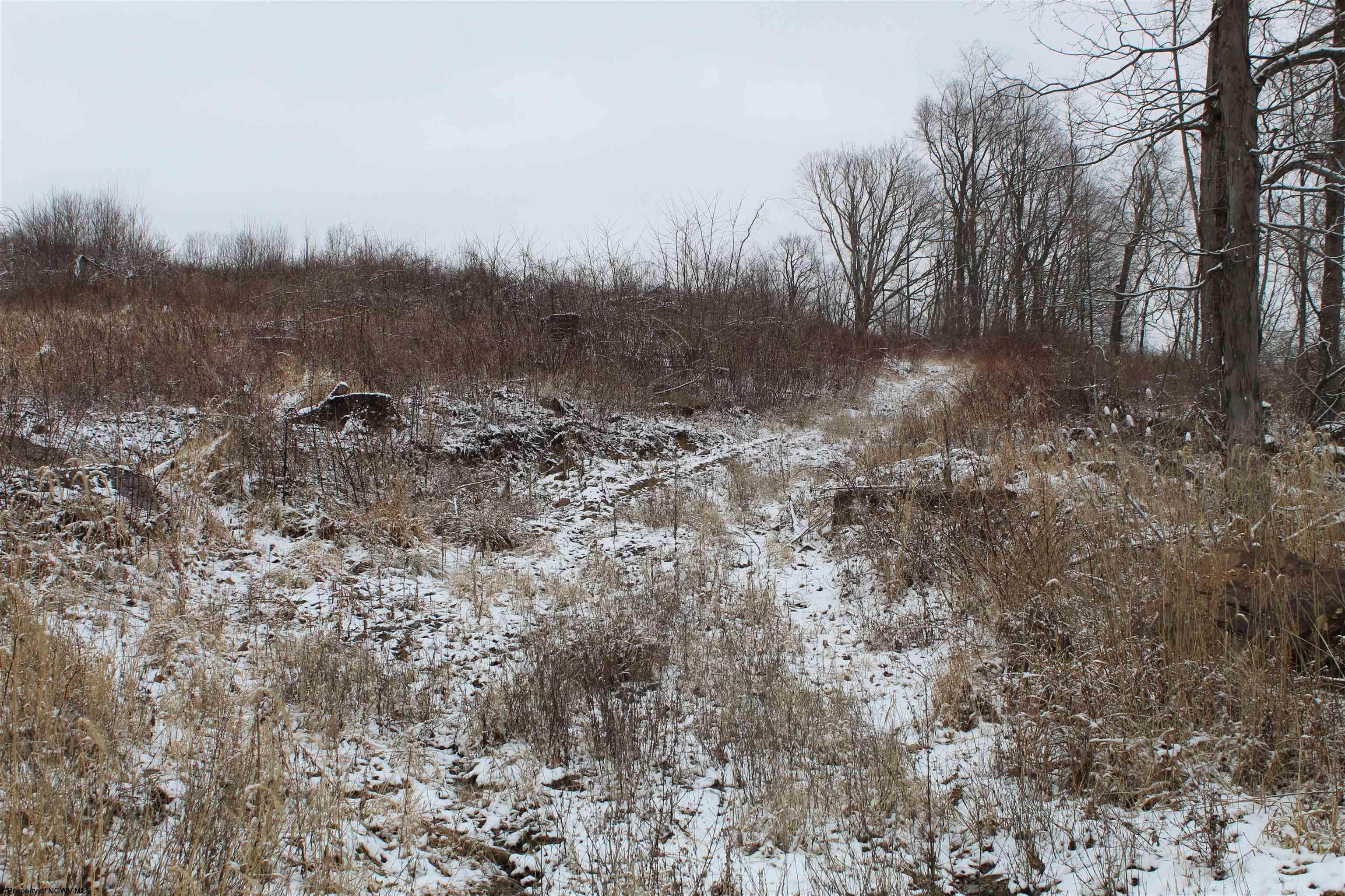 7-acres Coal Lick Road Albright, WV 26519 - Photo 5 of 10 Gallery Image 5