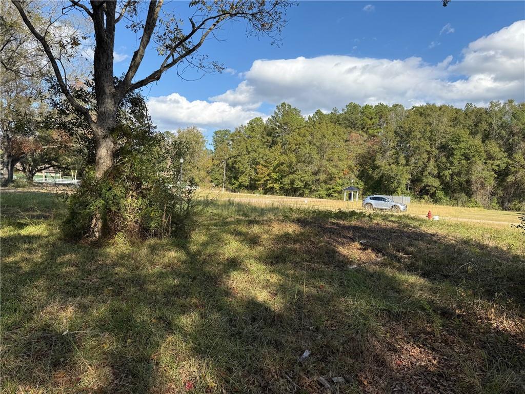 43485-0 Springwood Way Hammond, LA 70403 - Photo 3 of 5