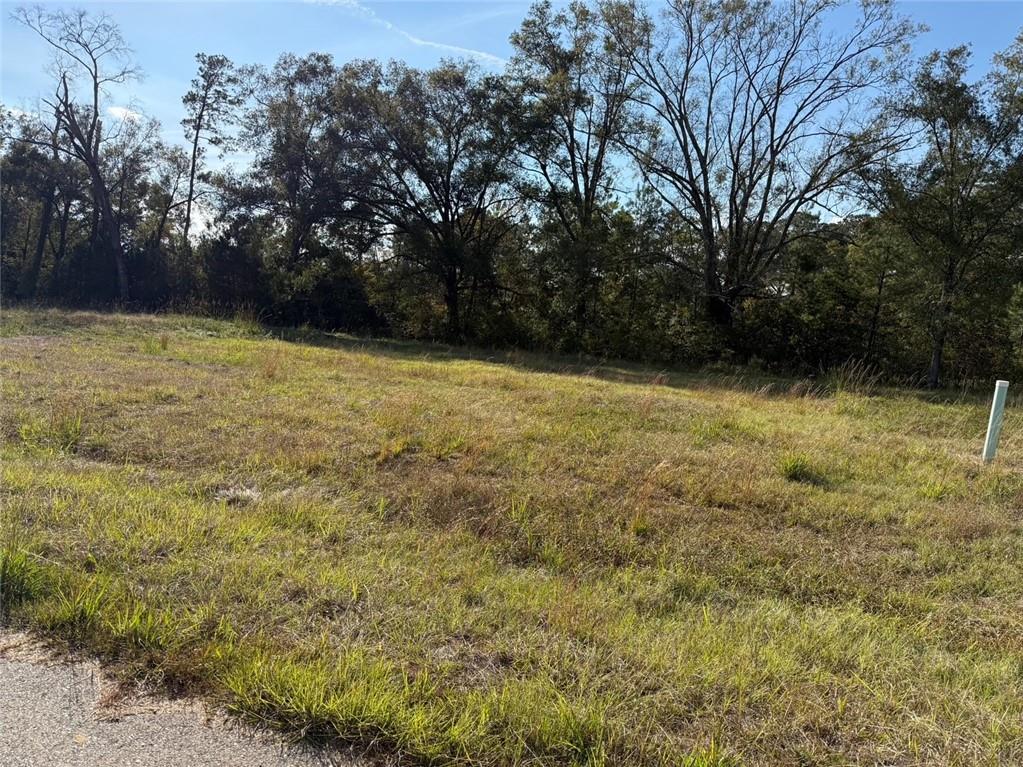 43485-0 Springwood Way Hammond, LA 70403 - Photo 4 of 5