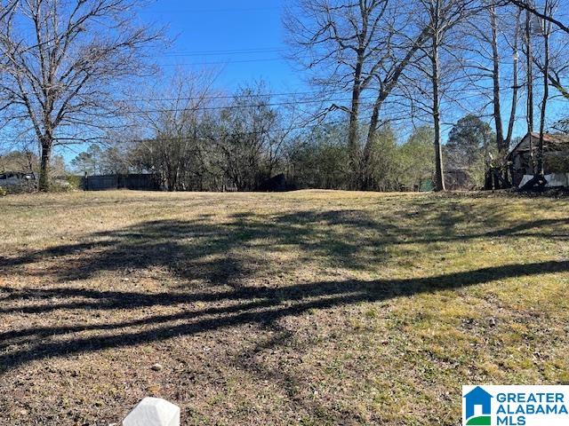 204 5th Street Docena, AL 35060 - Photo 8 of 8