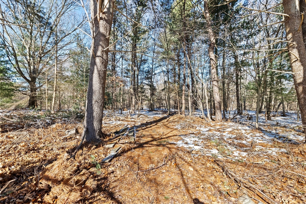 4 Highland Ridge Road Assonet, MA 02702 - Photo 42 of 42