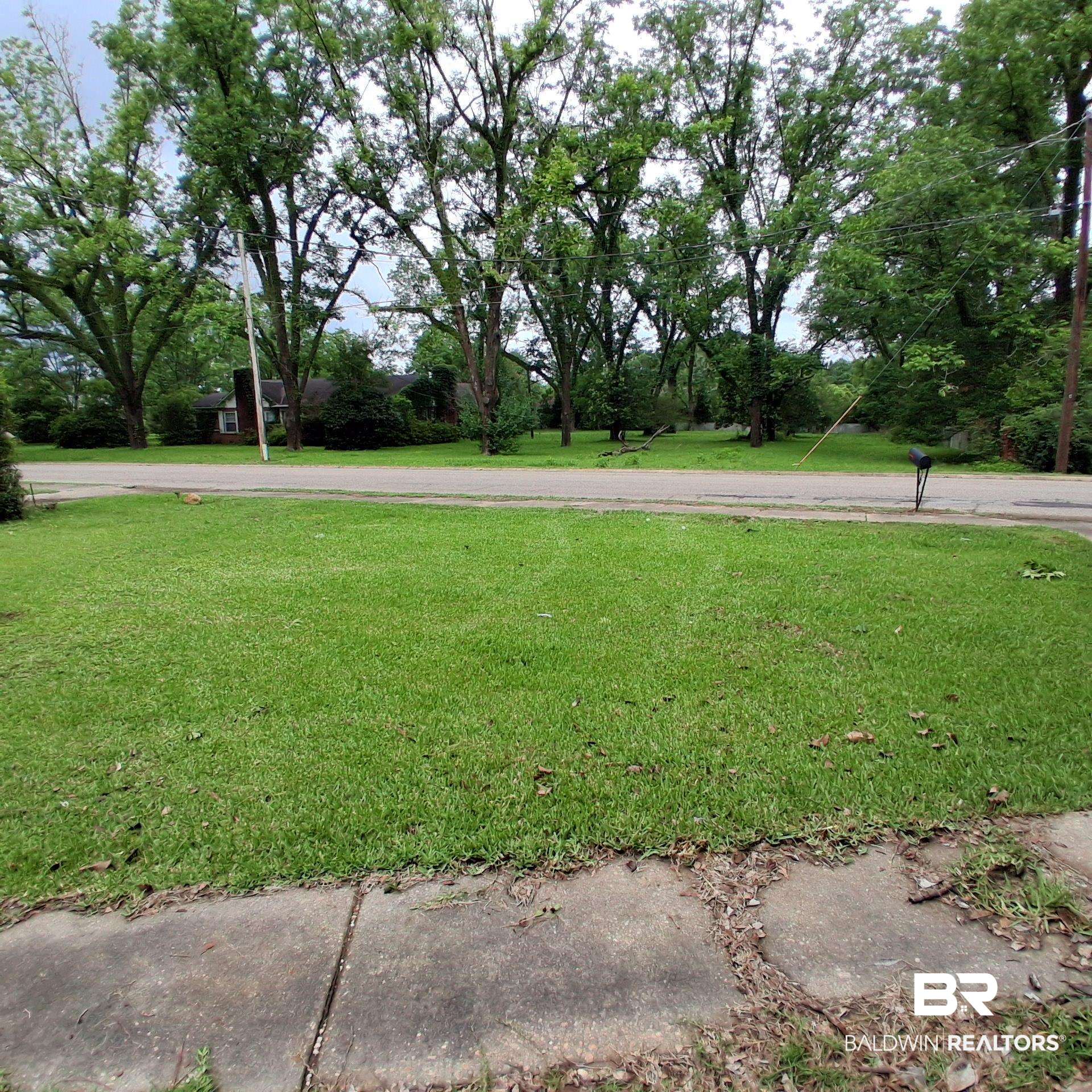 403 Bruner Avenue Evergreen, AL 36401 - Photo 7 of 9 Expansive green lawn with mature trees and a concrete pathway leading to the street