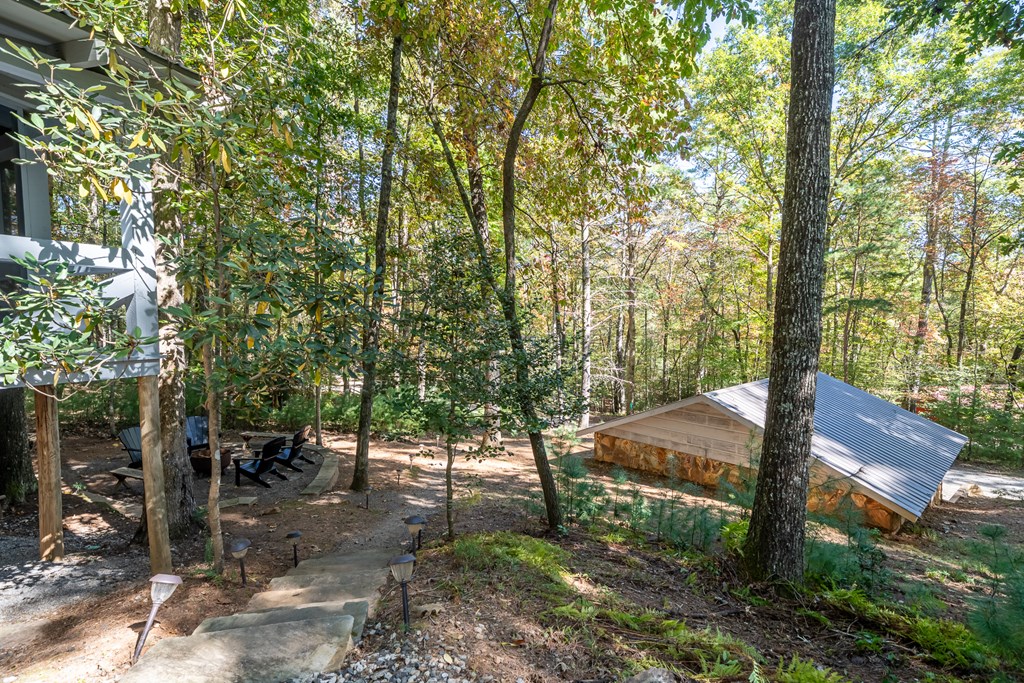 250 Chinkapin Drive Blue Ridge, GA 30513 - Photo 15 of 50 a view of outdoor space yard and patio