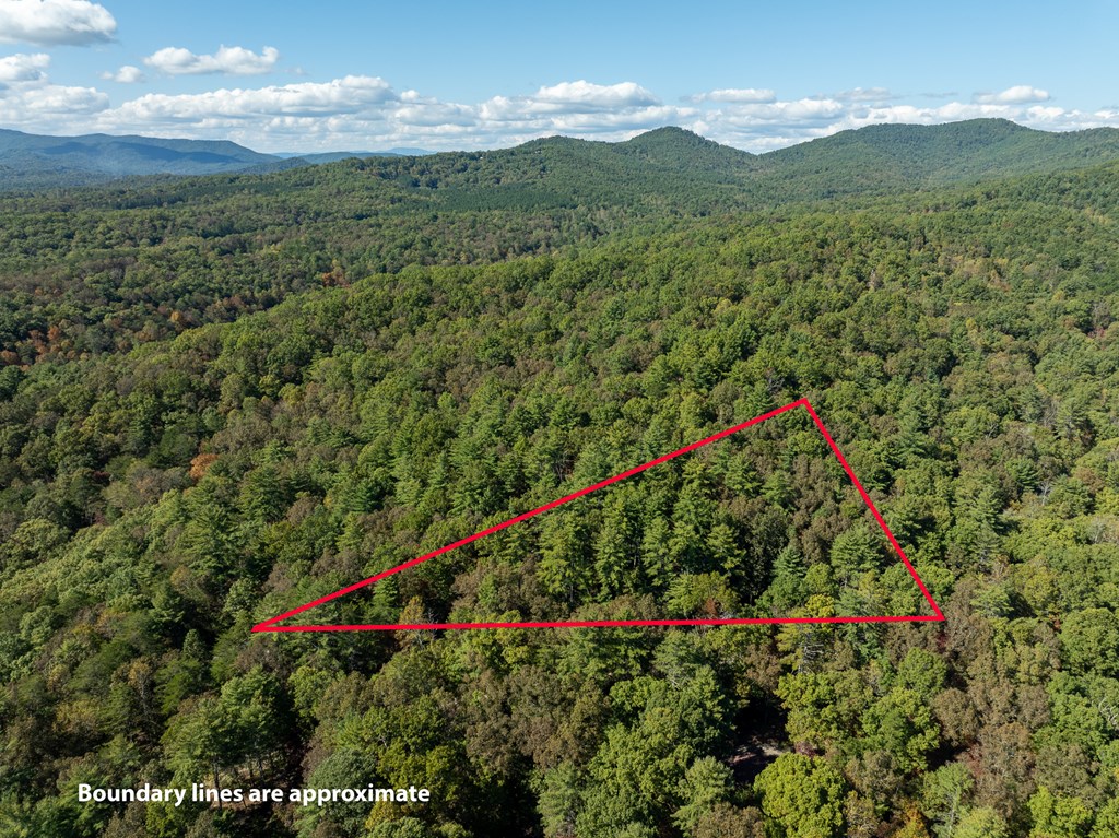 250 Chinkapin Drive Blue Ridge, GA 30513 - Photo 41 of 50 a view of a lush green field with a mountain in the background