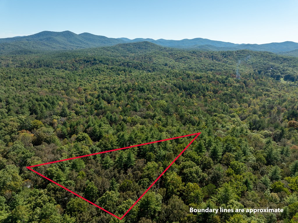 250 Chinkapin Drive Blue Ridge, GA 30513 - Photo 42 of 50 a view of a lush green field