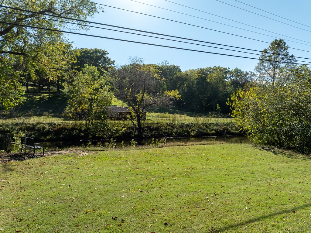 250 Chinkapin Drive Blue Ridge, GA 30513 - Photo 44 of 50 a view of a yard