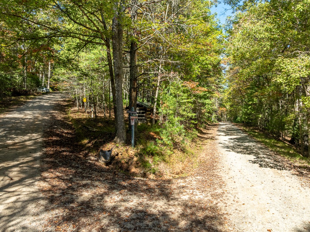 250 Chinkapin Drive Blue Ridge, GA 30513 - Photo 7 of 50 a pathway of a yard