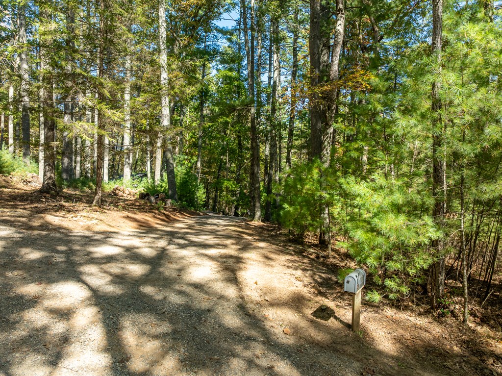 250 Chinkapin Drive Blue Ridge, GA 30513 - Photo 8 of 50 a view of outdoor space with trees