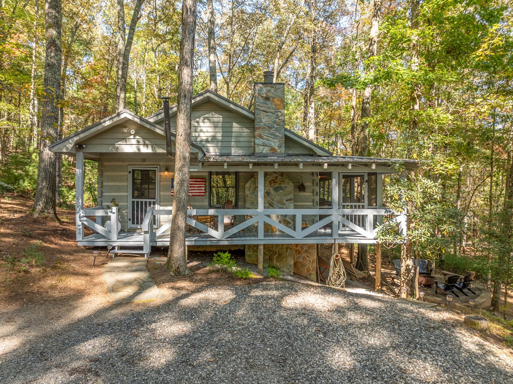 250 Chinkapin Drive Blue Ridge, GA 30513 - Photo 10 of 50 a front view of a house with a yard glass top table and chairs