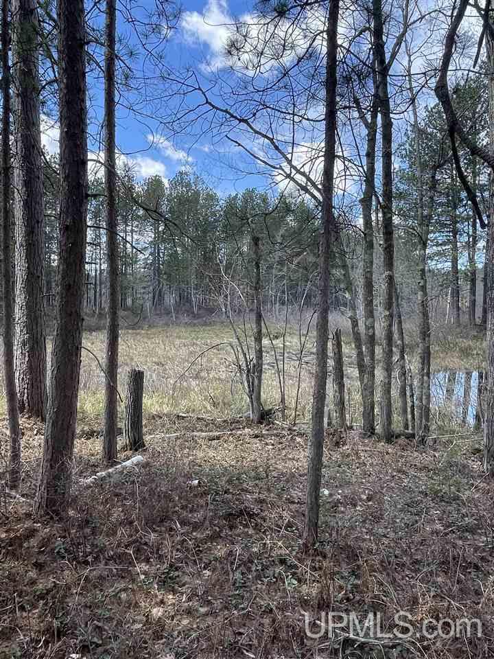 121 West Gordon Road Marquette, MI 49855 - Photo 10 of 14