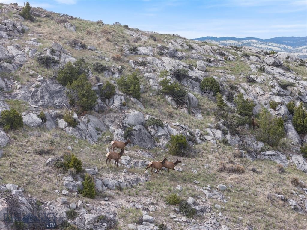 Lot 132 Headwaters Road Manhattan, MT 59741 - Photo 23 of 24 Abundant Wildlife