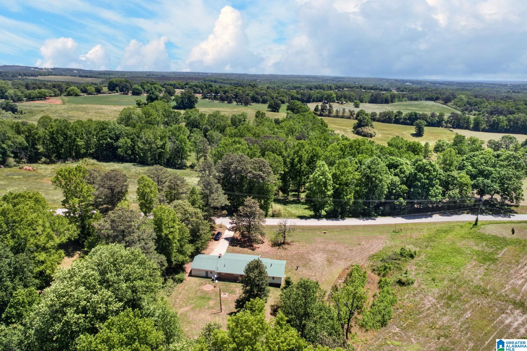7911 County Road 49 Ranburne, AL 36273 - Photo 31 of 34 Gallery Image 31