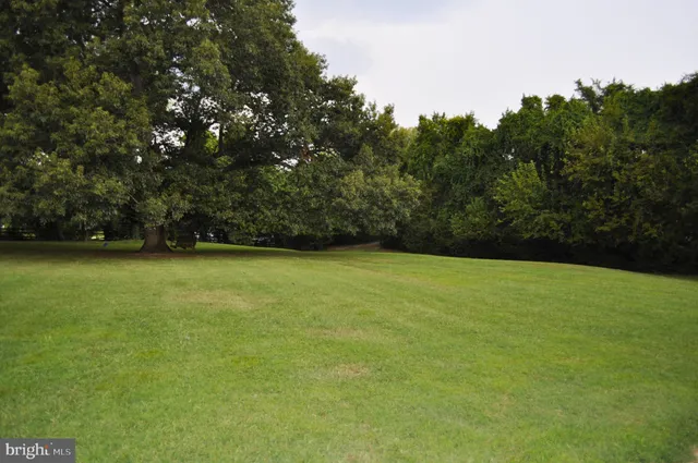 a view of outdoor space and yard
