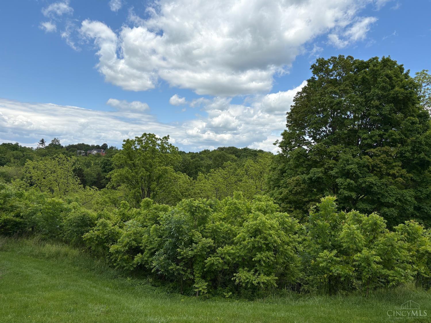 5778 Blue Rock Hill Road Cincinnati, OH 45247 - Photo 5 of 11