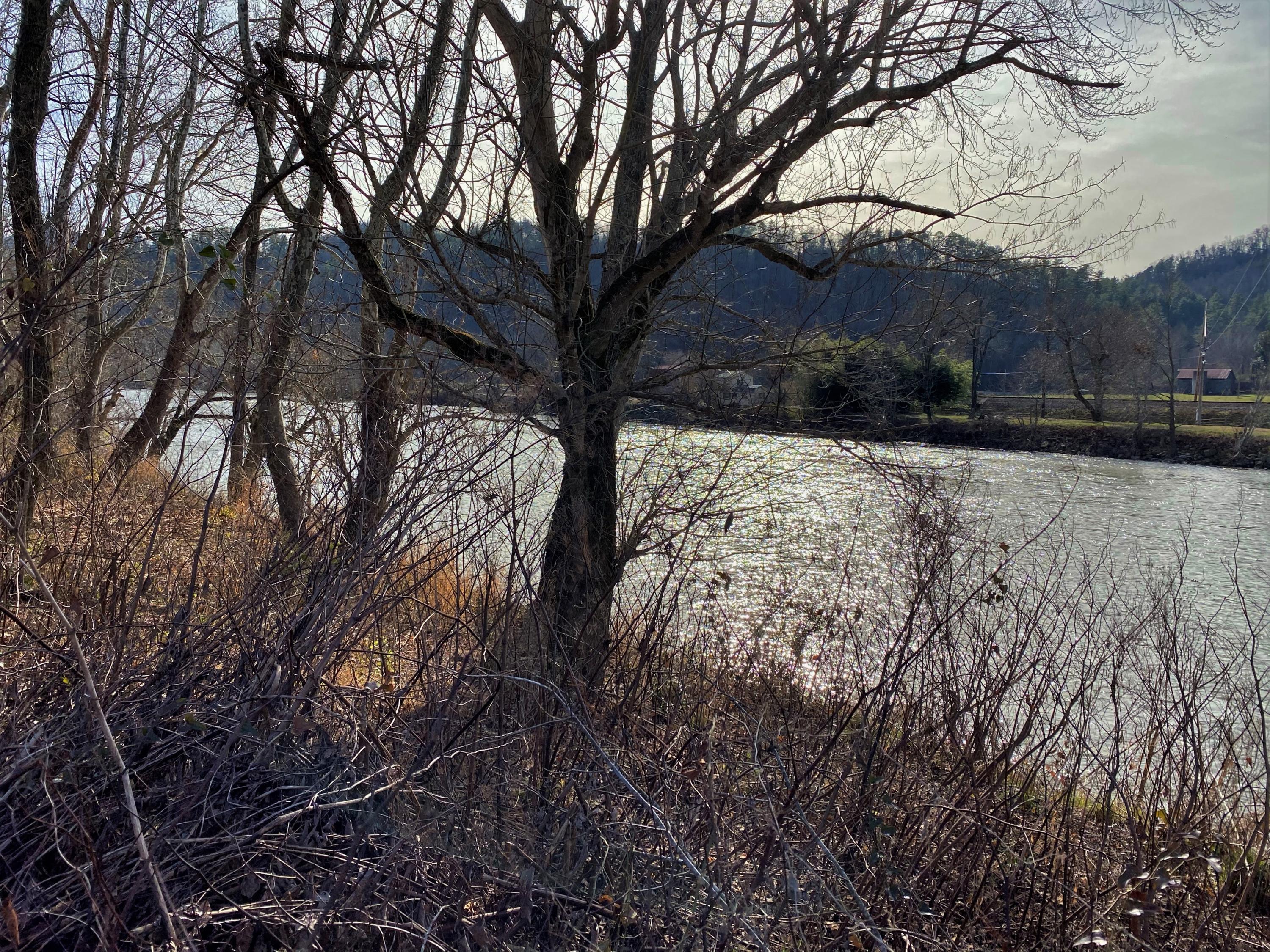 River Rapids Way Del Rio, TN 37727 - Photo 11 of 24 IMG_0902