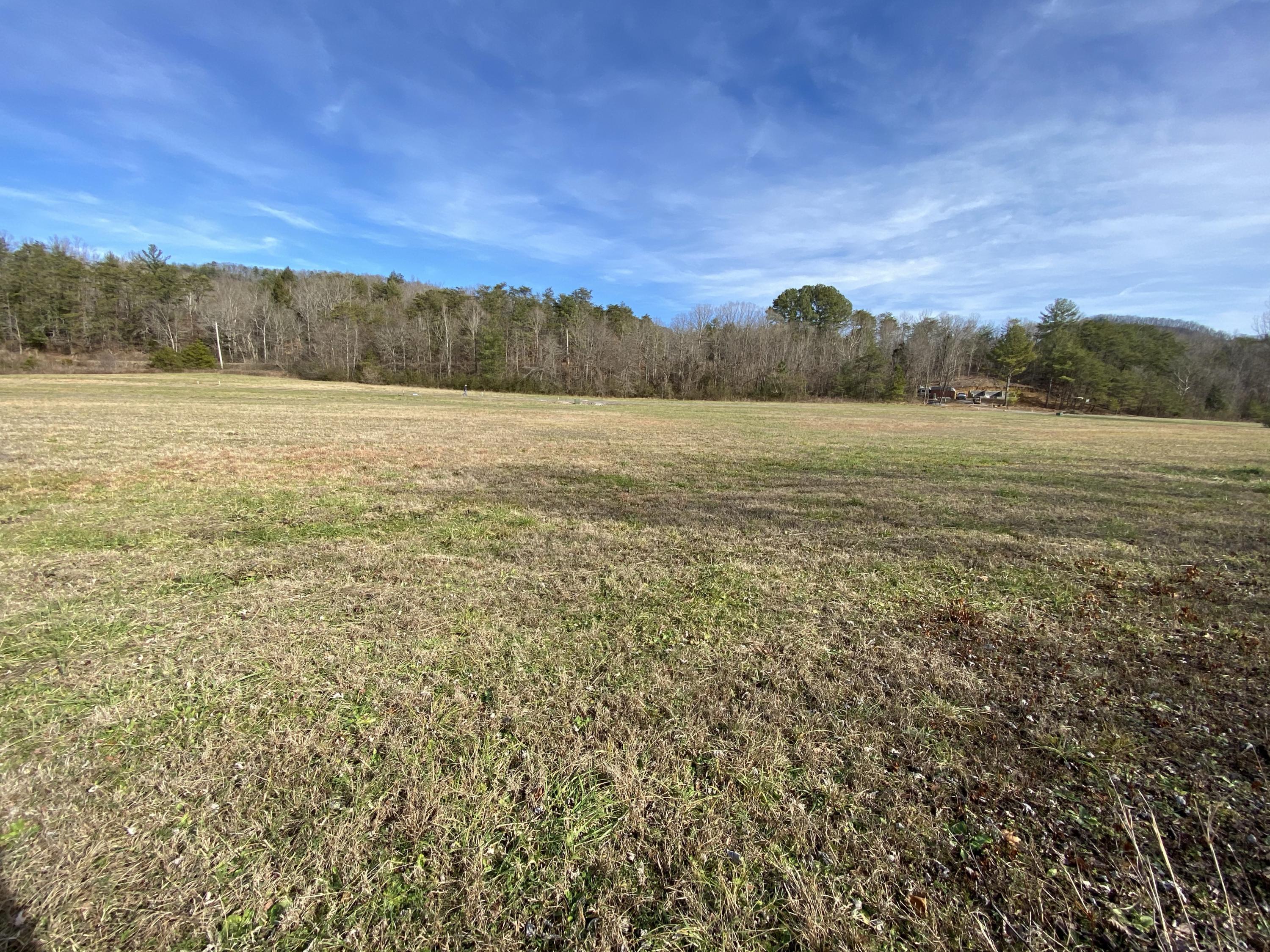 River Rapids Way Del Rio, TN 37727 - Photo 14 of 24 IMG_0905