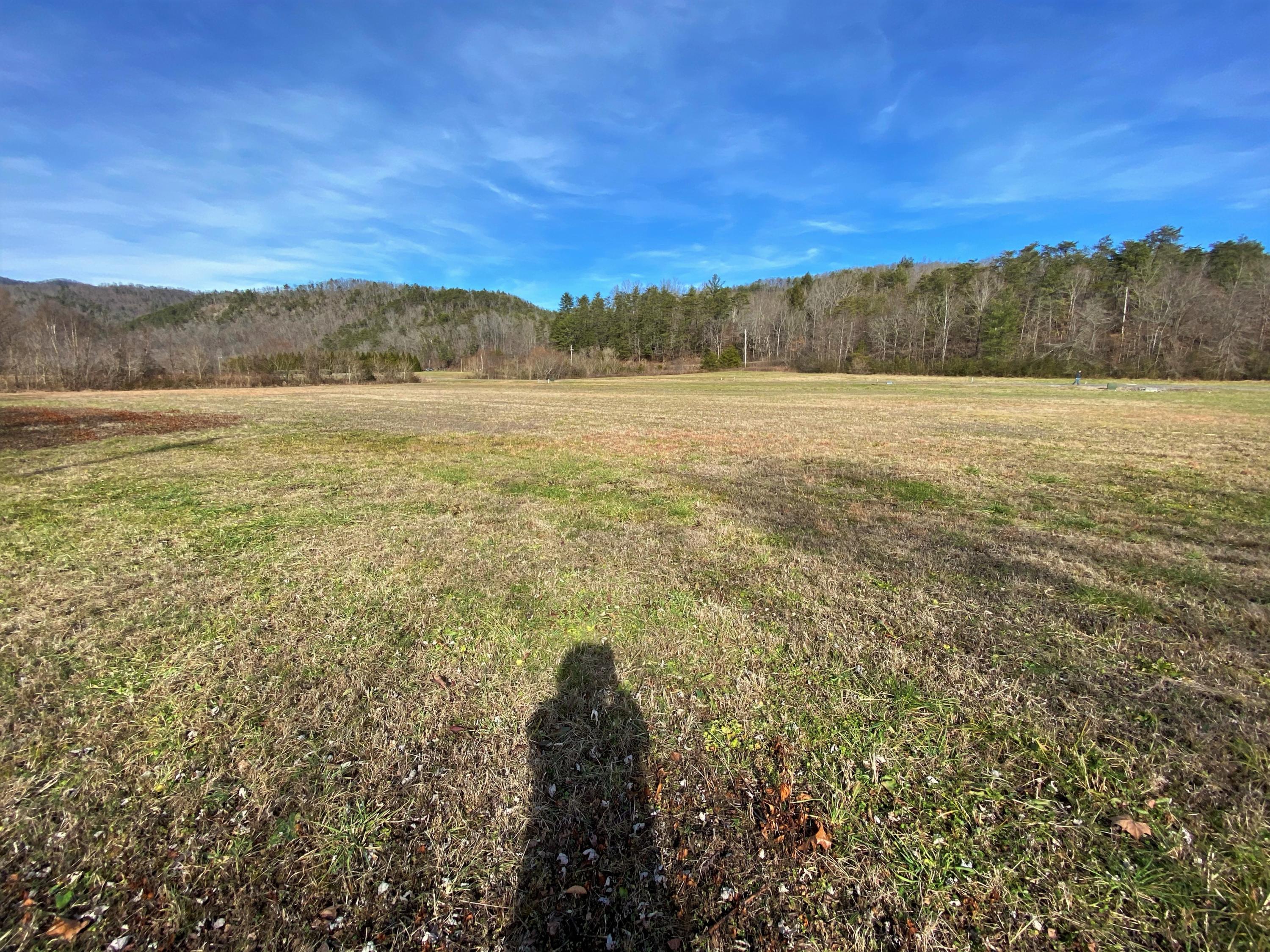 River Rapids Way Del Rio, TN 37727 - Photo 15 of 24 IMG_0906