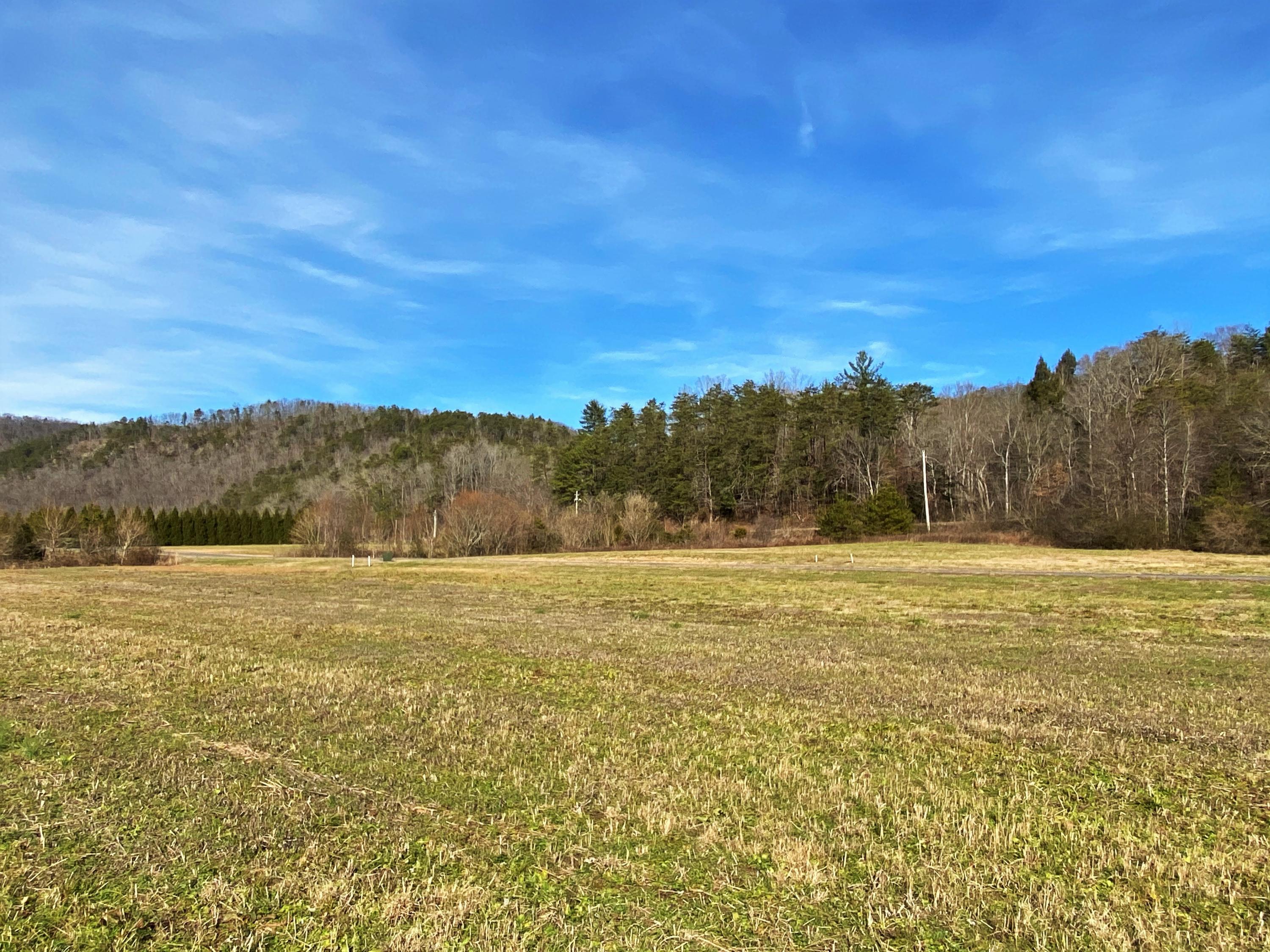 River Rapids Way Del Rio, TN 37727 - Photo 9 of 24 IMG_0899