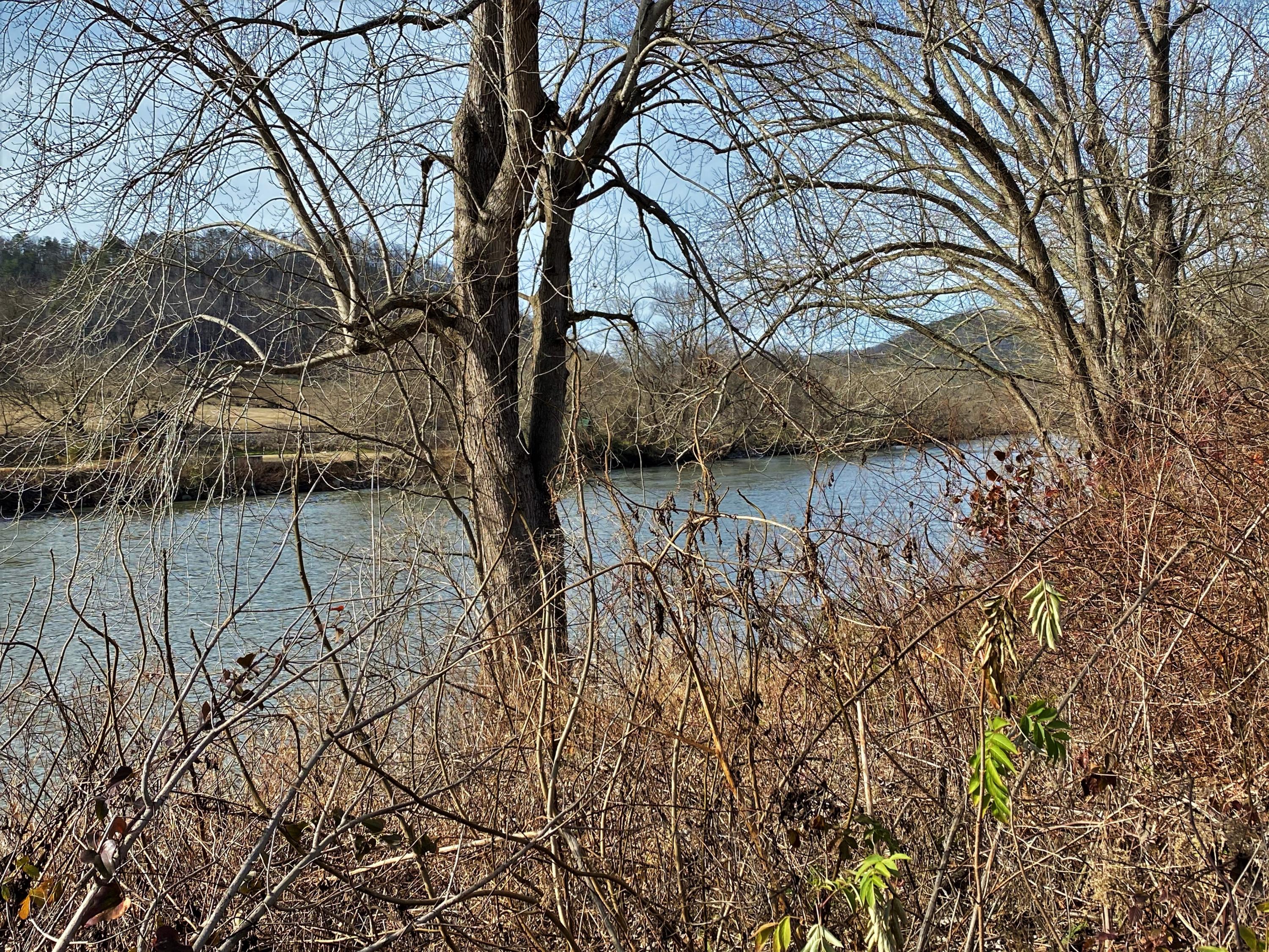 River Rapids Way Del Rio, TN 37727 - Photo 10 of 24 IMG_0901