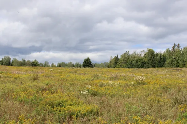 $465,000 | 44 Paradis Avenue, Frenchville, ME 04745