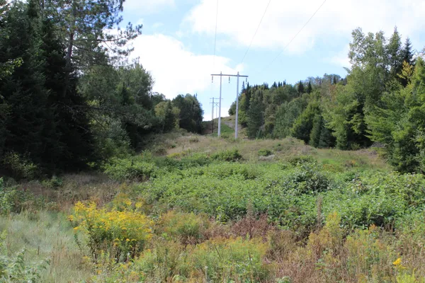 $465,000 | 44 Paradis Avenue, Frenchville, ME 04745