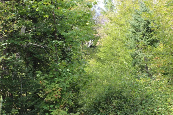 $465,000 | 44 Paradis Avenue, Frenchville, ME 04745