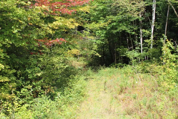 $465,000 | 44 Paradis Avenue, Frenchville, ME 04745