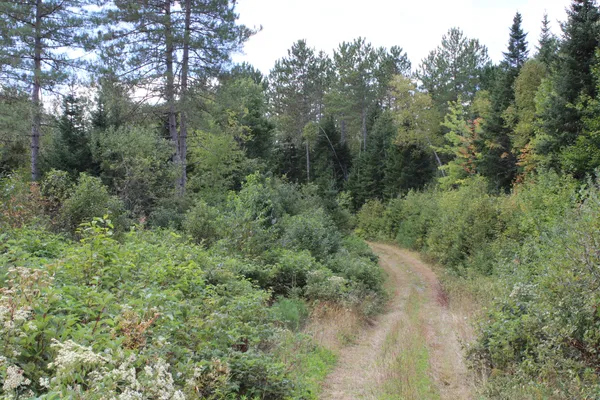 $465,000 | 44 Paradis Avenue, Frenchville, ME 04745