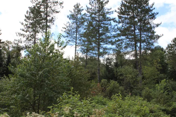 $465,000 | 44 Paradis Avenue, Frenchville, ME 04745