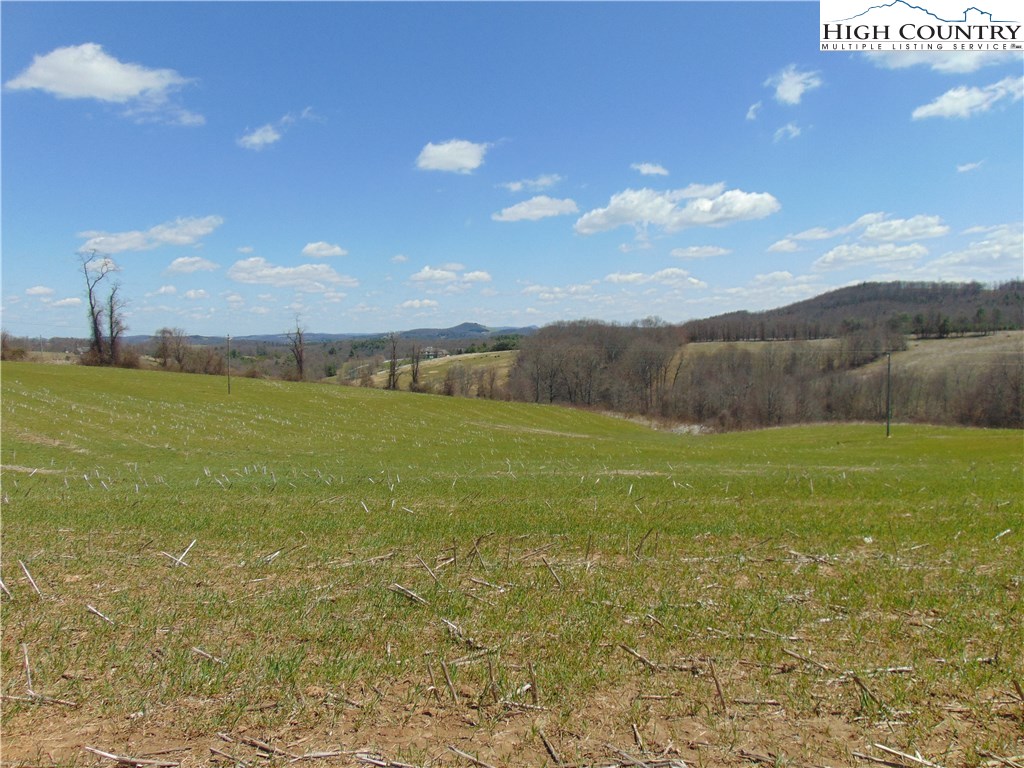 Chestnut Grove, Unit 2 Sparta, NC 28675 - Photo 2 of 11 Gallery Image 2