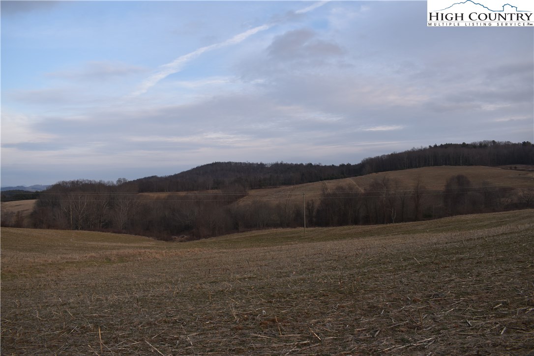 Chestnut Grove, Unit 2 Sparta, NC 28675 - Photo 8 of 11 Gallery Image 8
