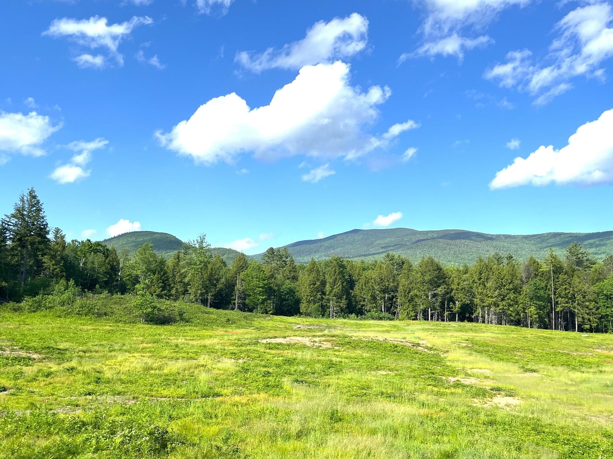 139 A Turner Road Wentworth, NH 03282 - Photo 2 of 19