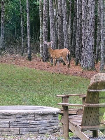 73120 Penn Mill Road Covington, LA 70435 - Photo 25 of 29