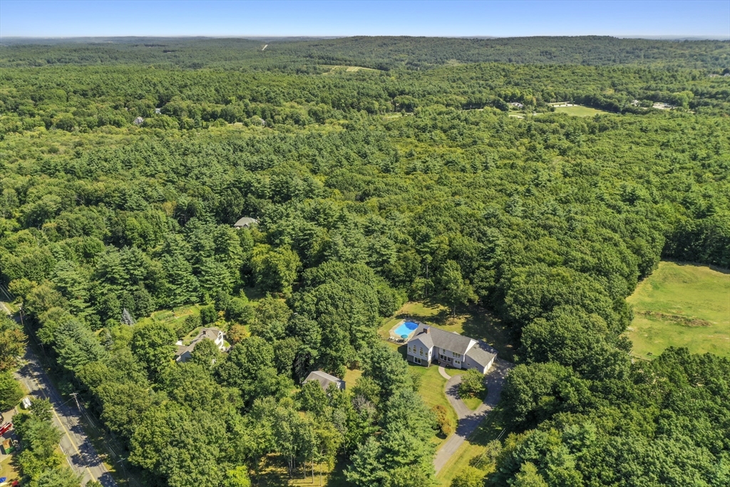55 Prospect Hill Road Harvard, MA 01451 - Photo 40 of 42 a view of a lush green forest with trees and some houses