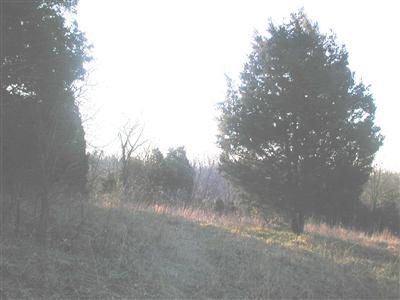 0 Martin Conway Road Ewing, KY 41039 - Photo 1 of 2 Photo 1