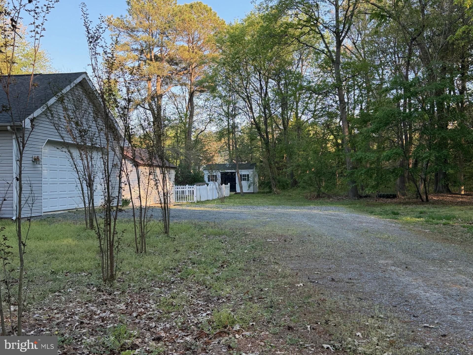 7392 Todds Wharf Road Preston, MD 21655 - Photo 6 of 9 driveway from lane to garage