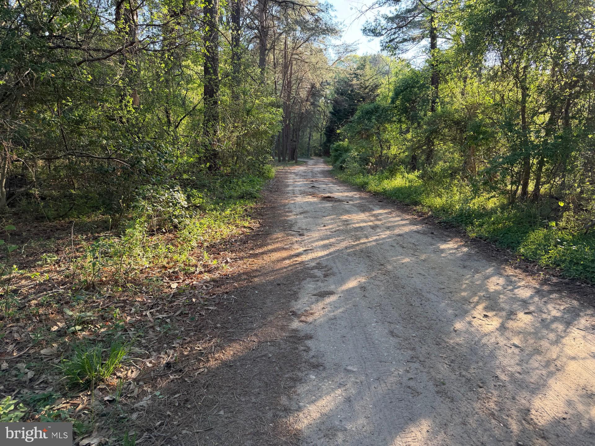 7392 Todds Wharf Road Preston, MD 21655 - Photo 9 of 9 Dirt lane